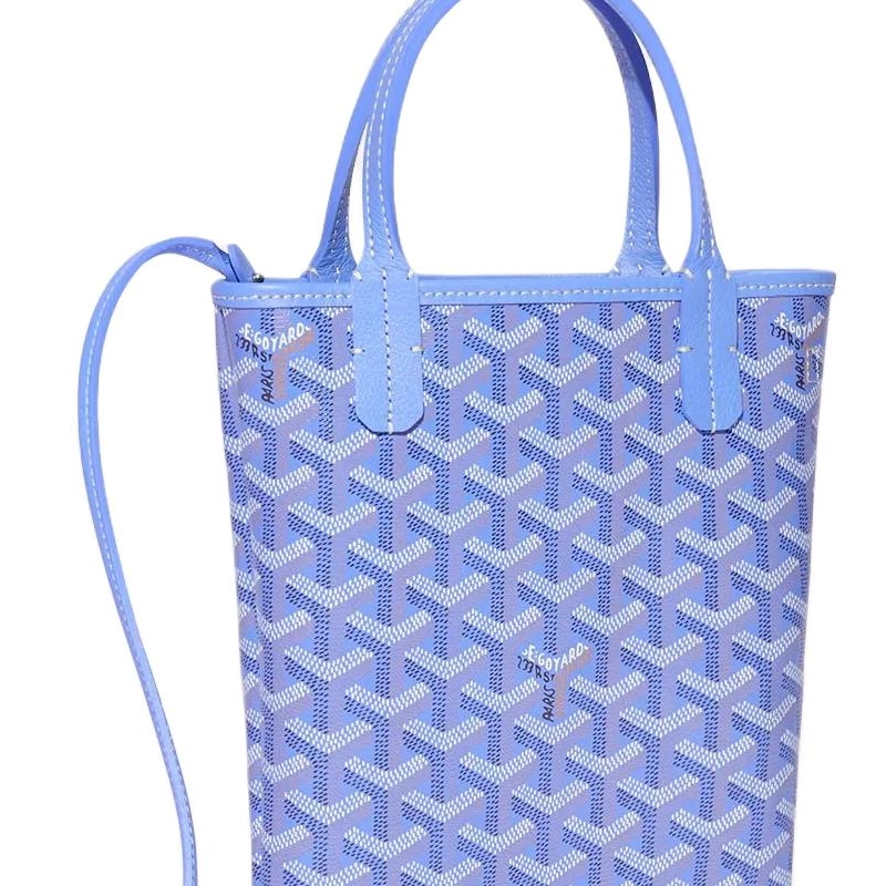 GOYARD SAC POITIERS PM Tote