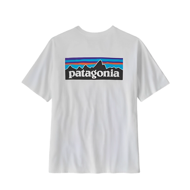patagonia T