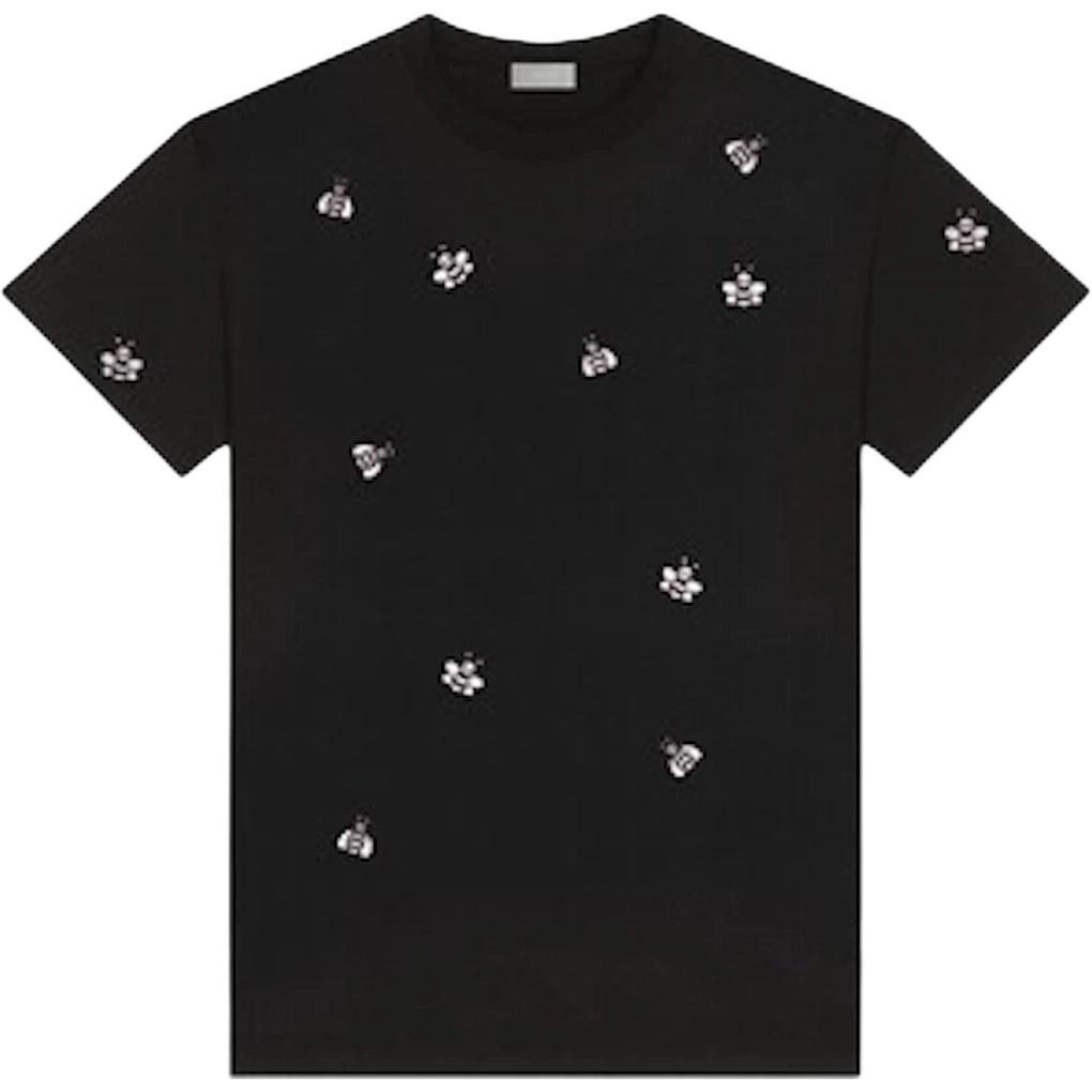 KAWS x DIOR T