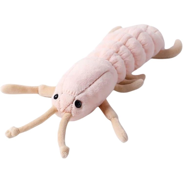 McHugs 18cm