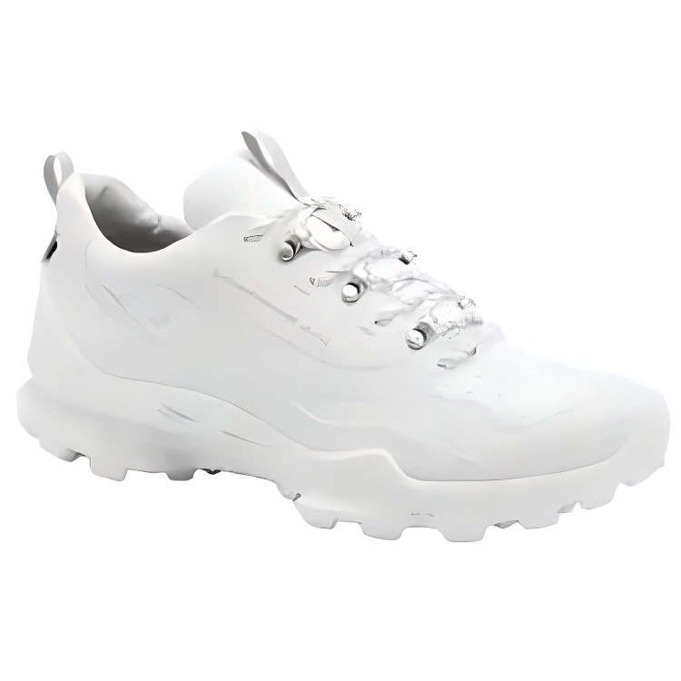 White Mountaineering ecco Biom C Trail