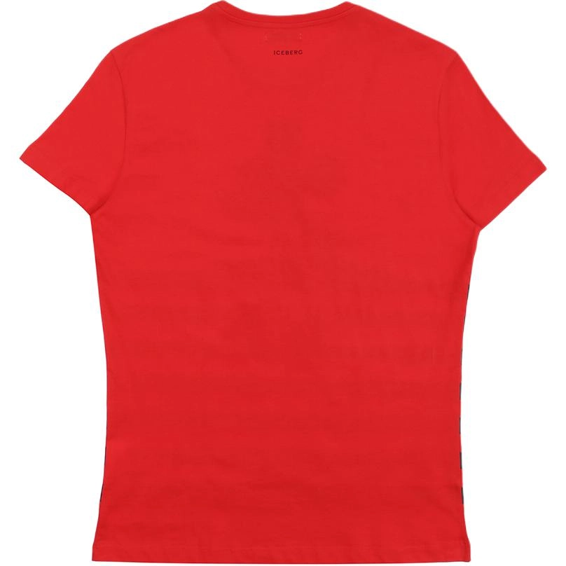 iceberg T