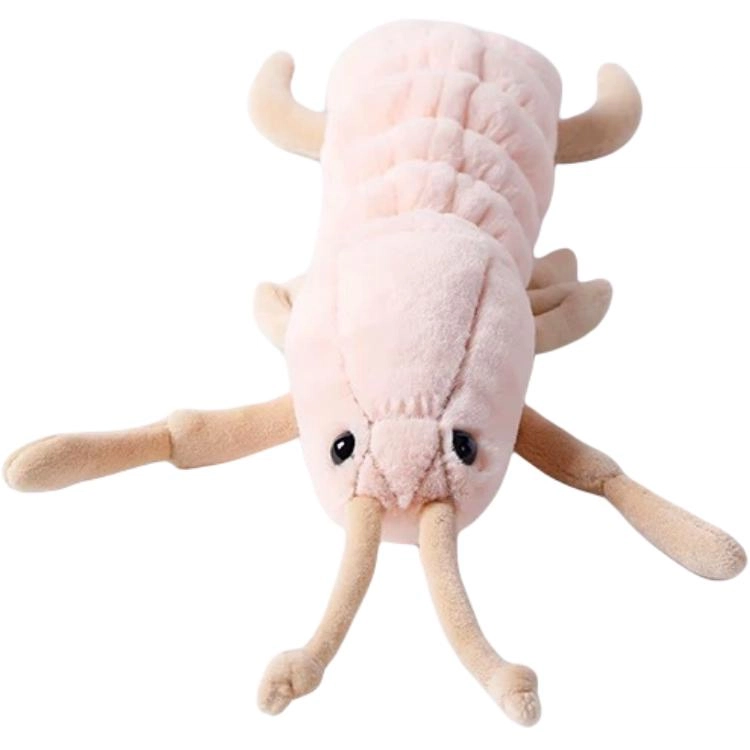 McHugs 18cm
