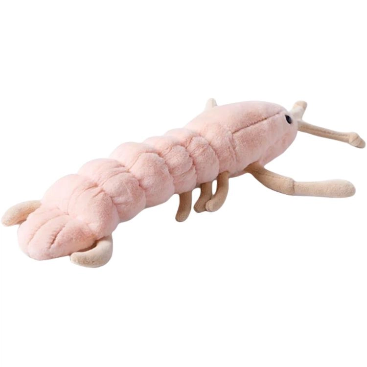 McHugs 18cm