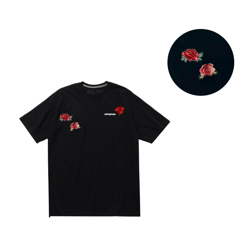 patagonia T