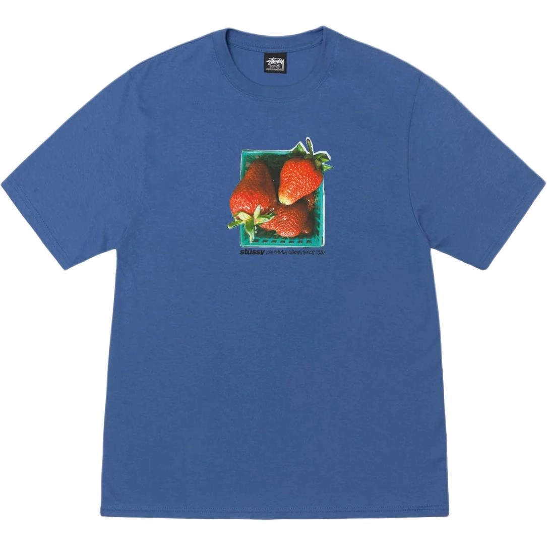 Stussy SS25 BERRIES TEE T