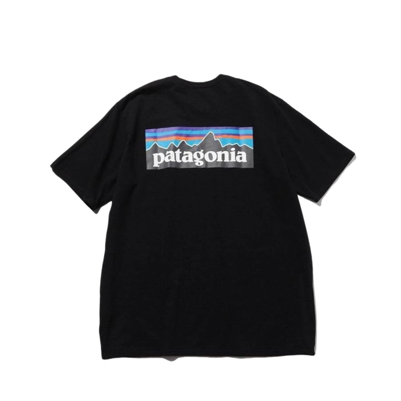 patagonia T