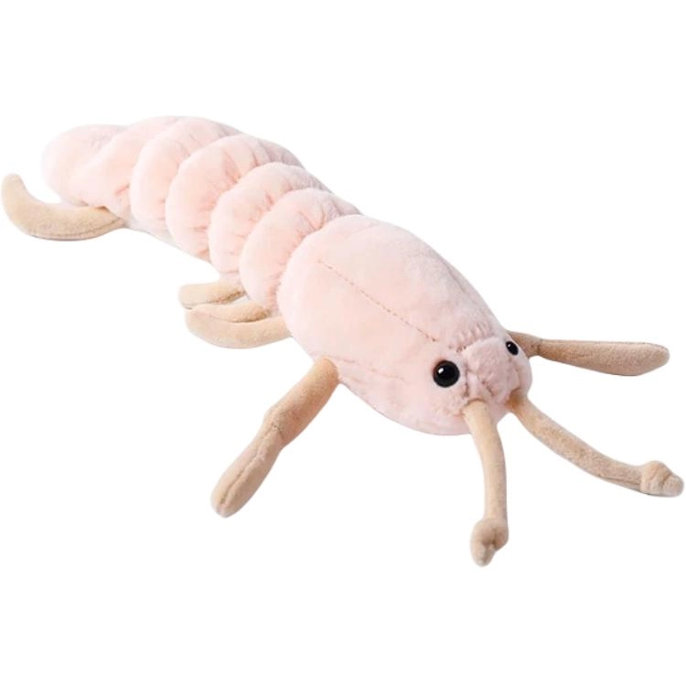 McHugs 18cm