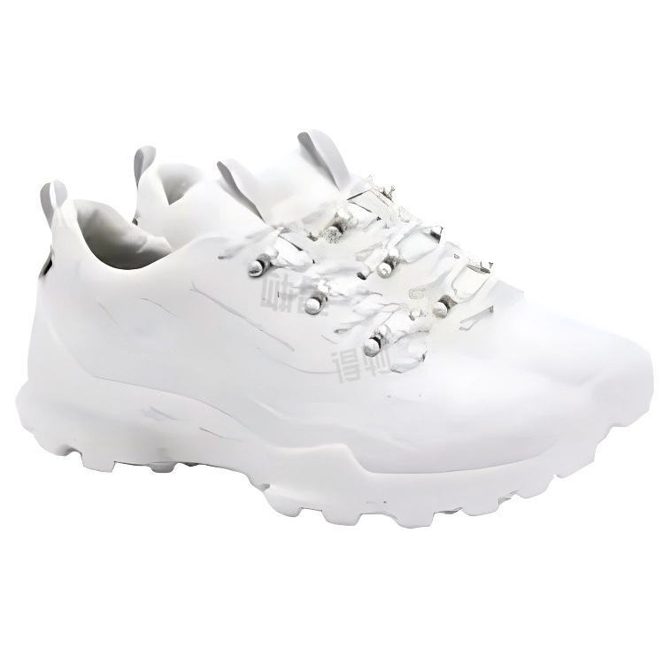 White Mountaineering ecco Biom C Trail