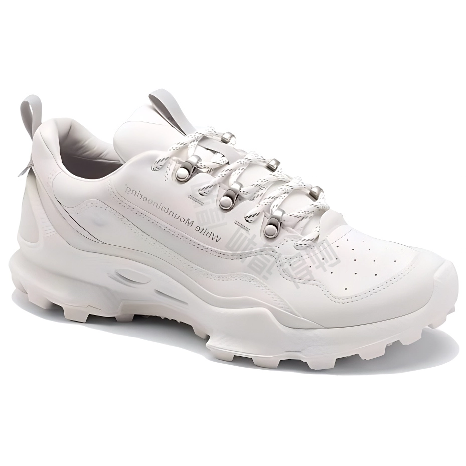 White Mountaineering ecco Biom C Trail