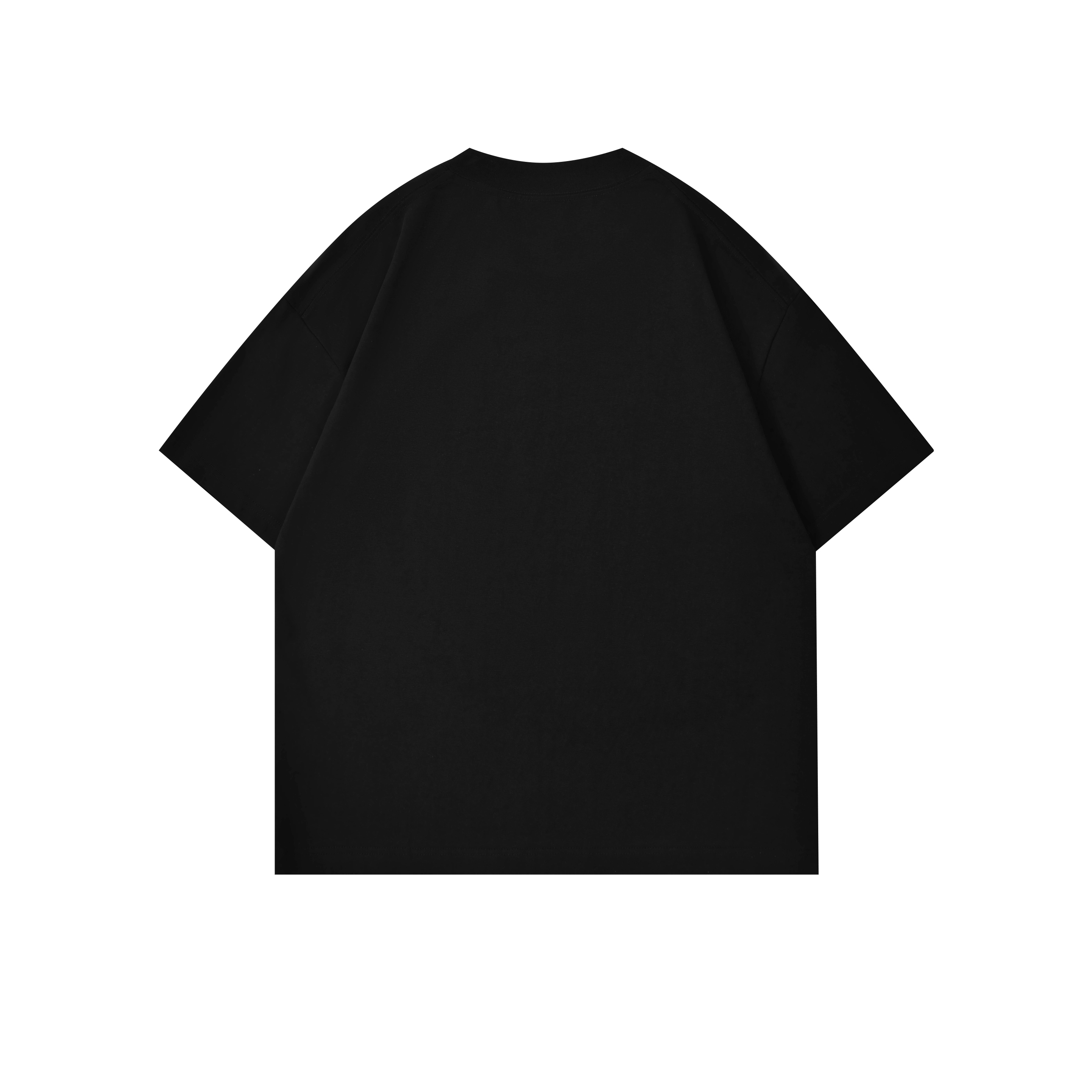 HIPHOPPUNKS T