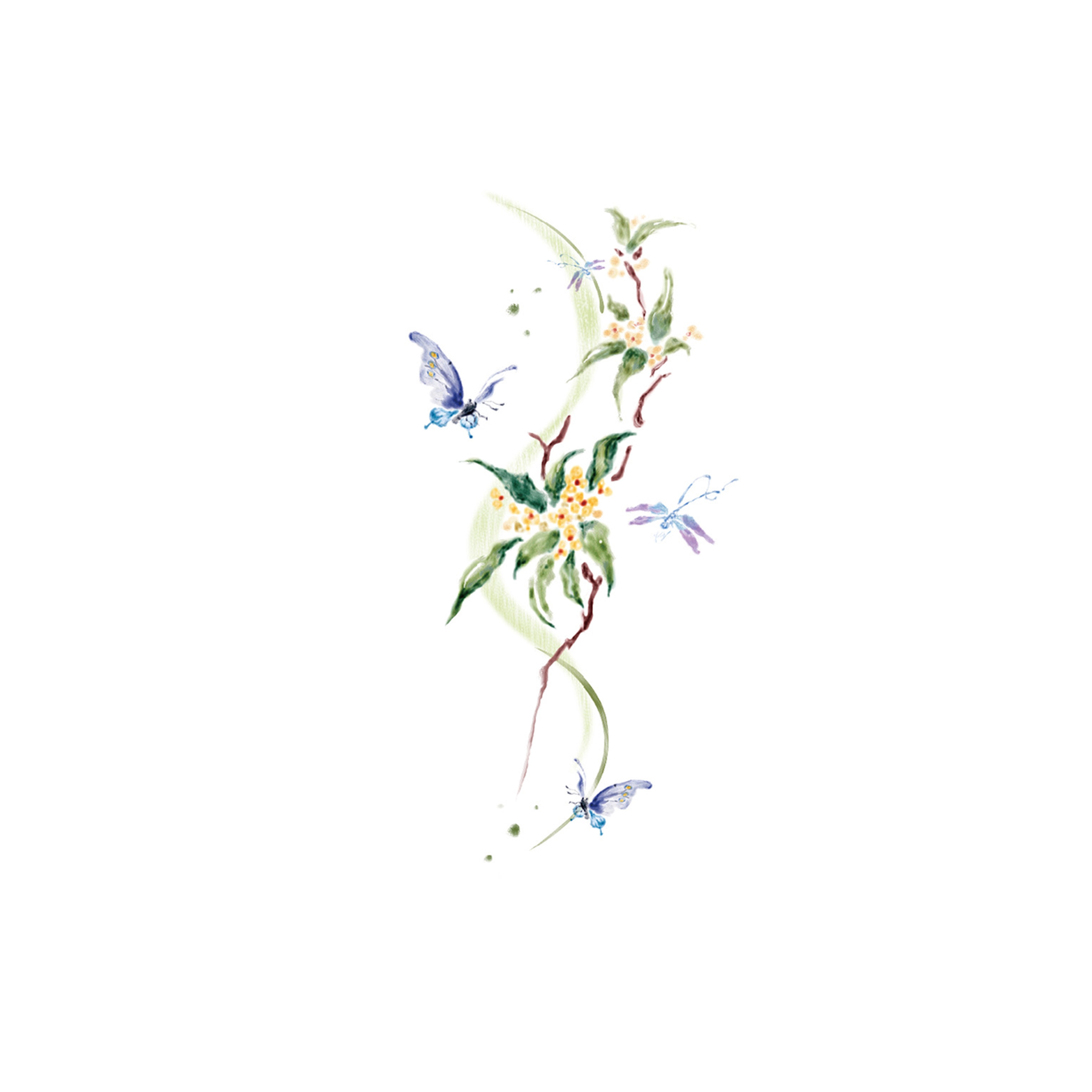 ins7.6*12cm