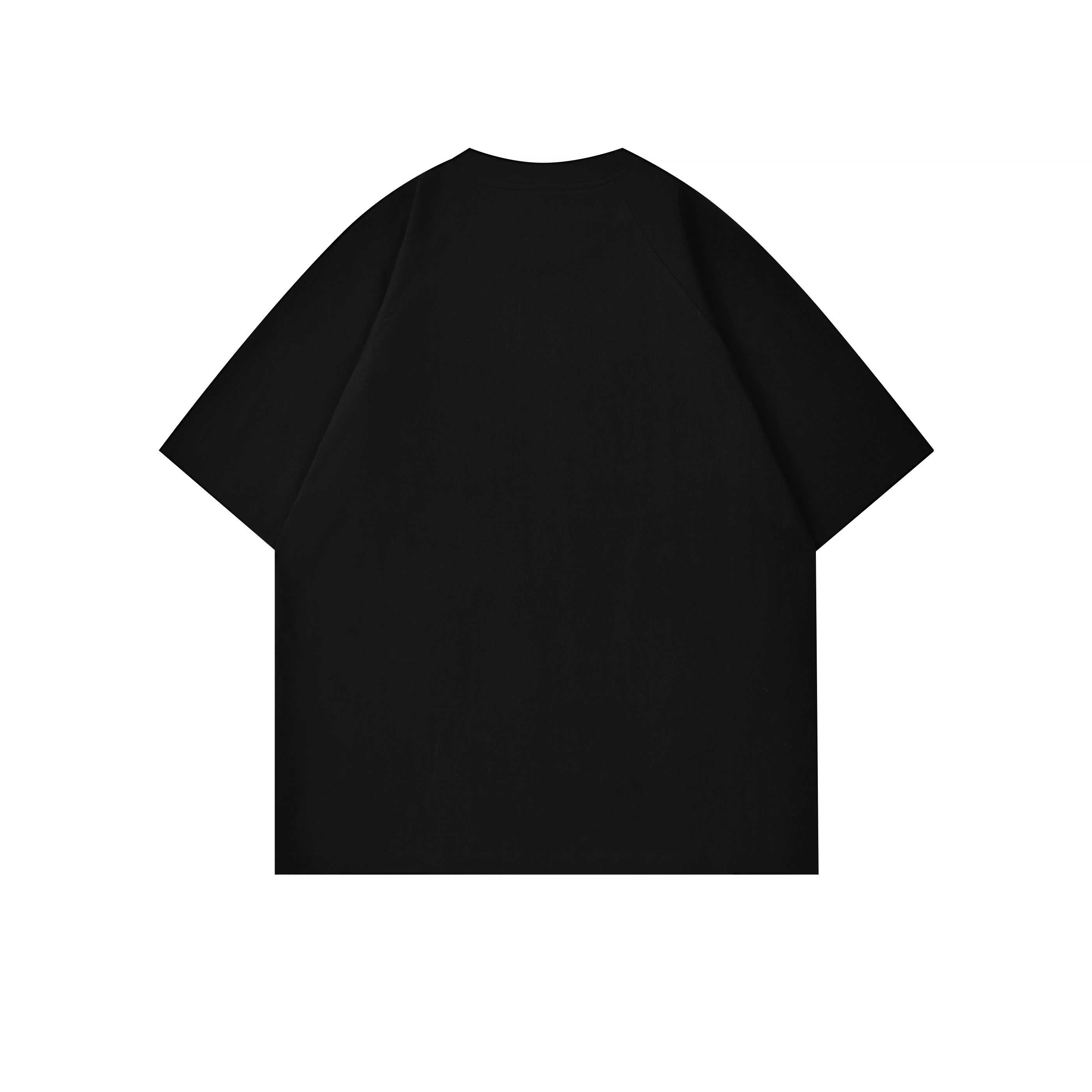 HIPHOPPUNKS T