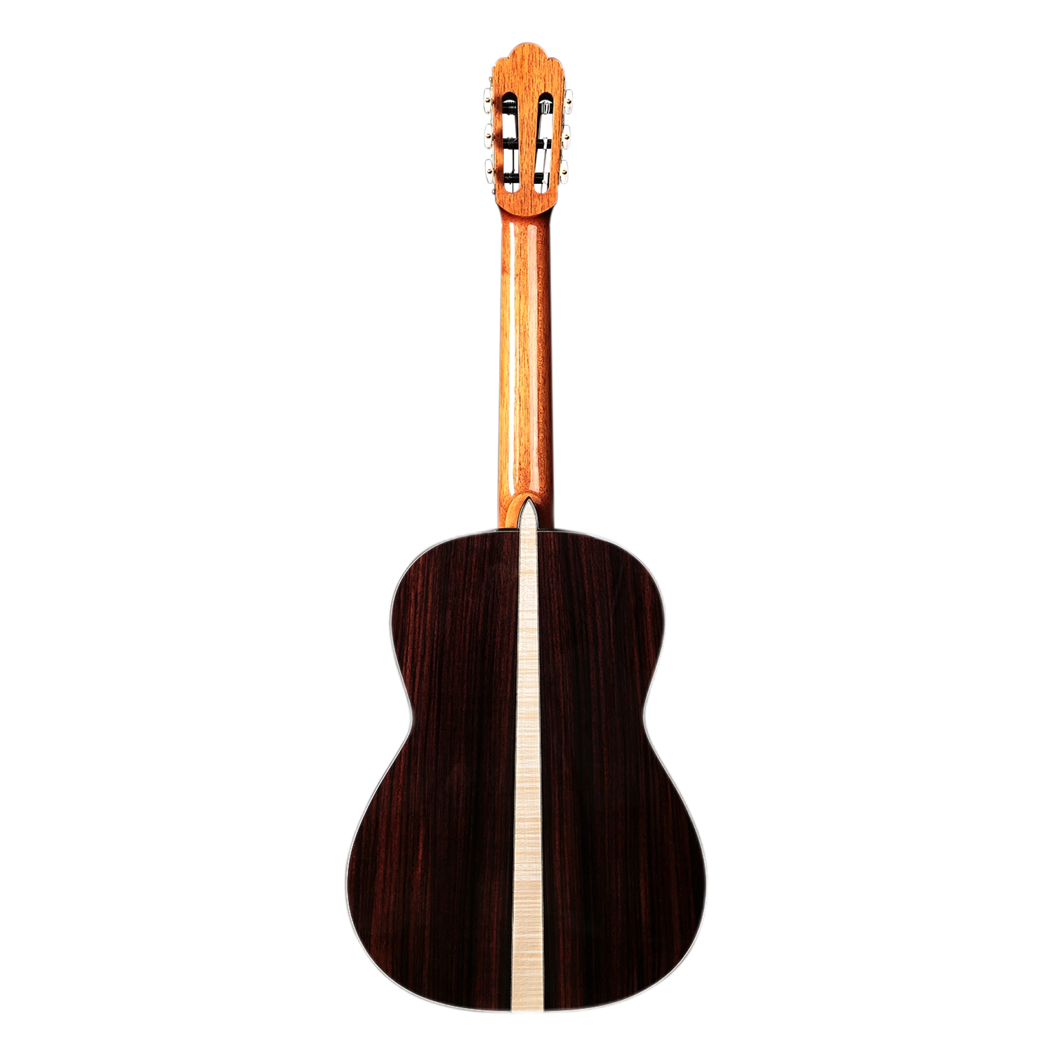 Natasha T65C T65S