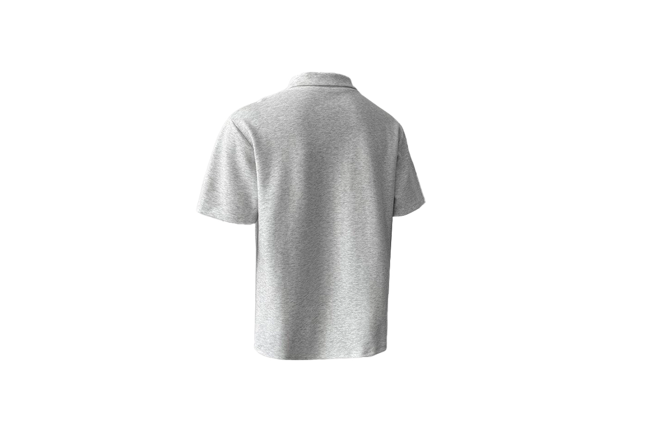 PAEFA LogoPolo