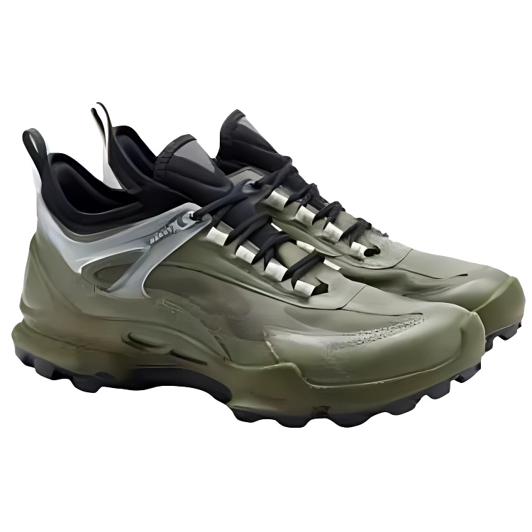 ecco Biom C Trail