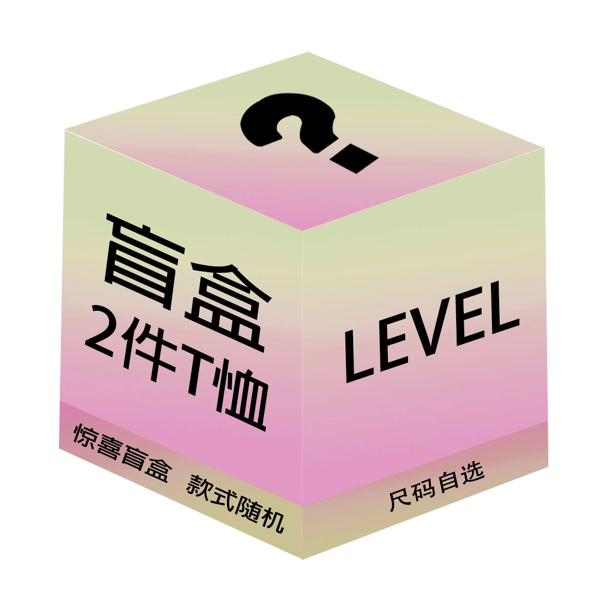 LEVEL 5oversizeT