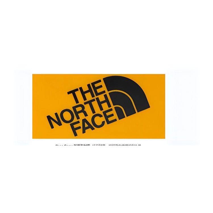 THE NORTH FACE Base Camp 22.14L Logo