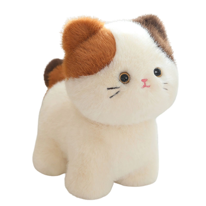 X2HOMME 20cm30cm