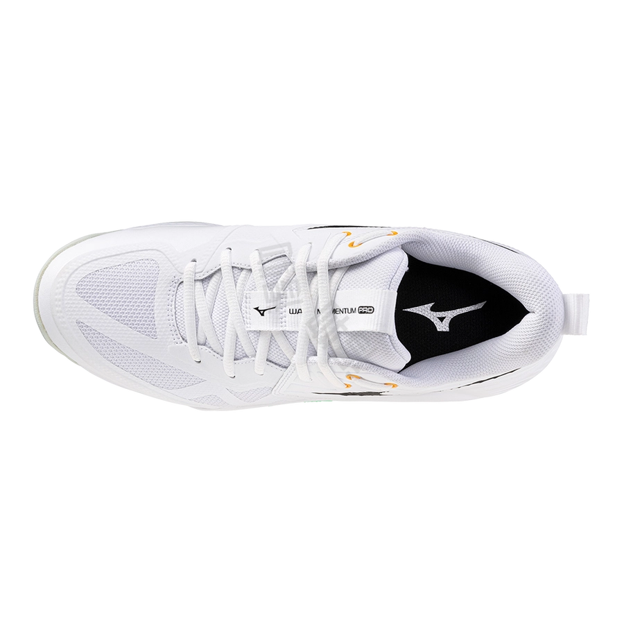 Mizuno WAVE MOMENTUM PRO