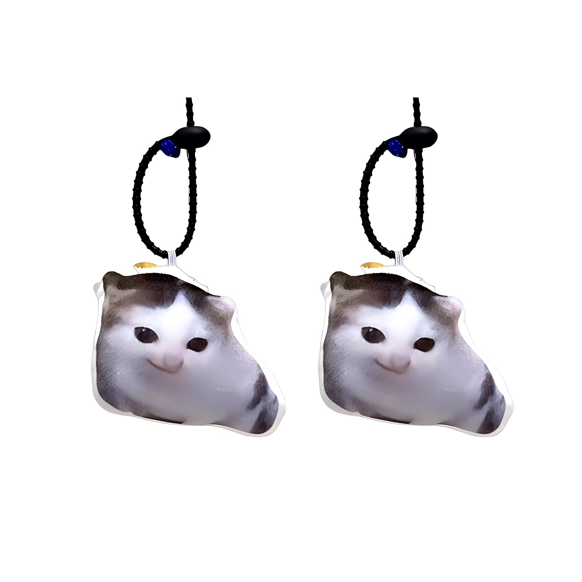 PP