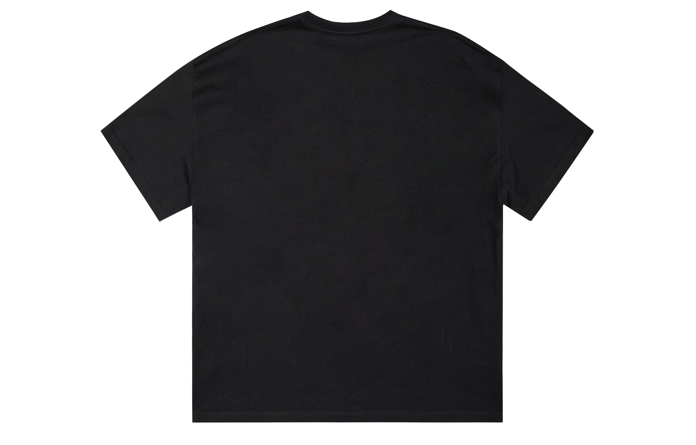 ICONS Lab ICS T