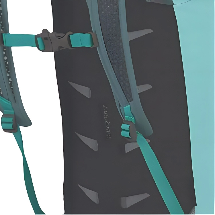 OSPREY 15L Daylite Cinch