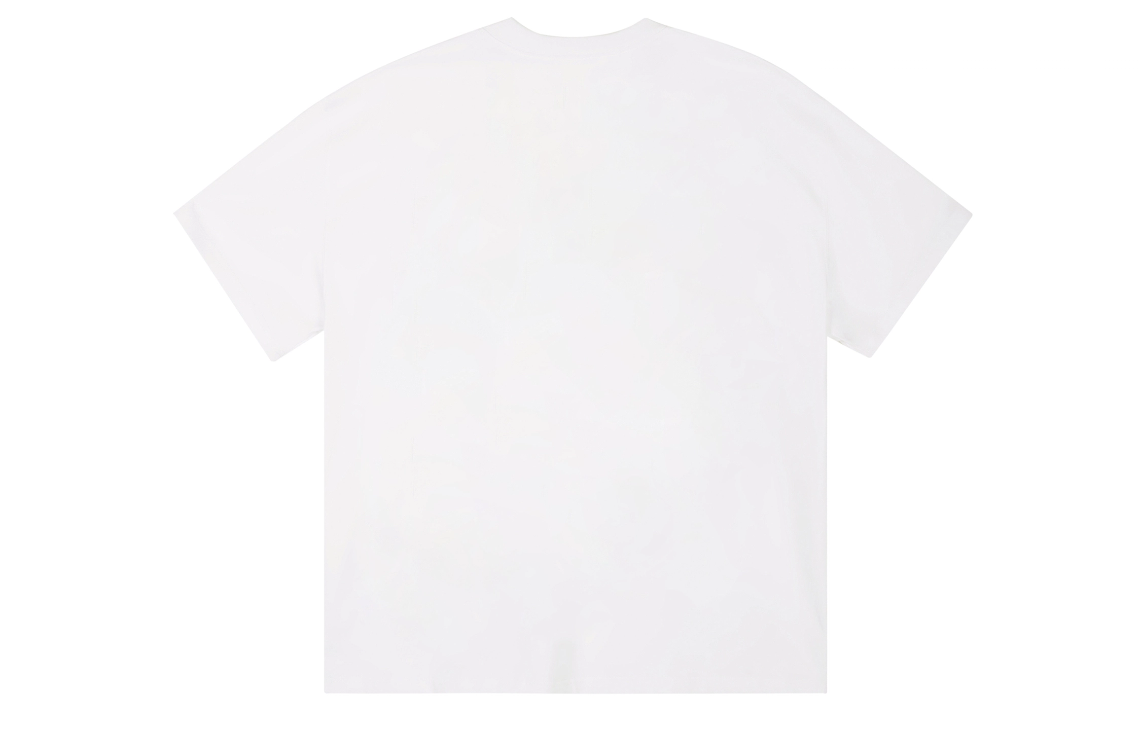 ICONS Lab T