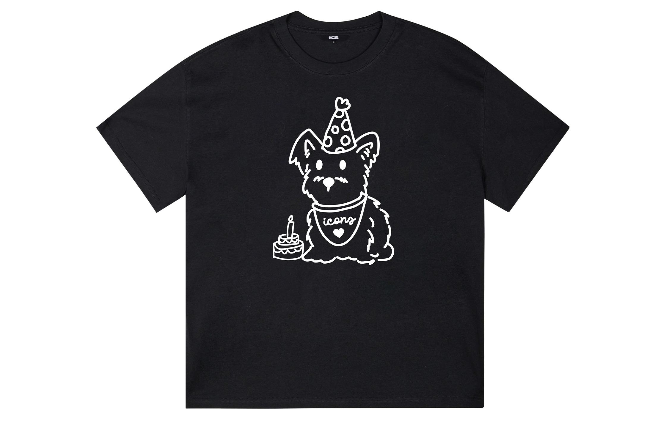 ICONS Lab T
