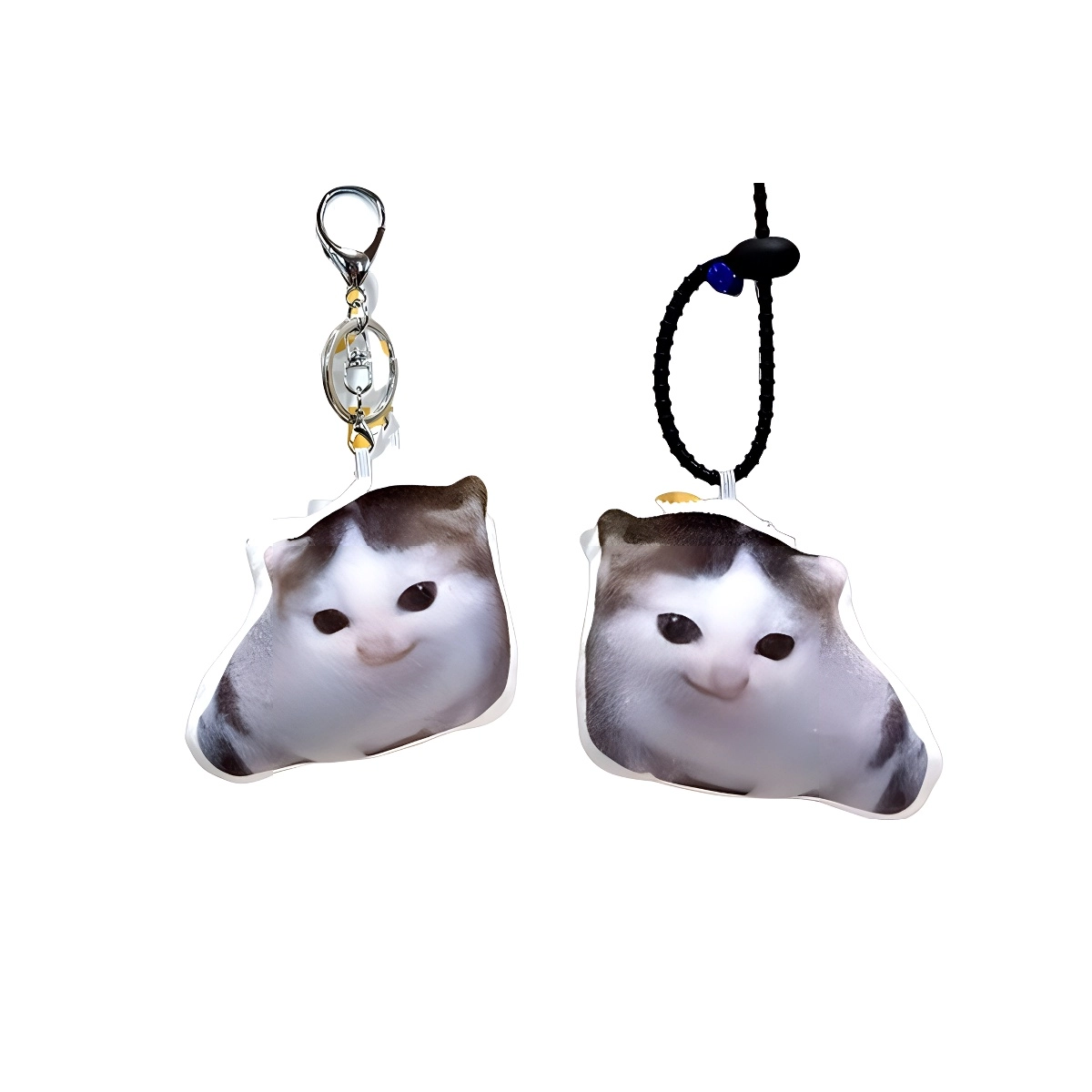 PP