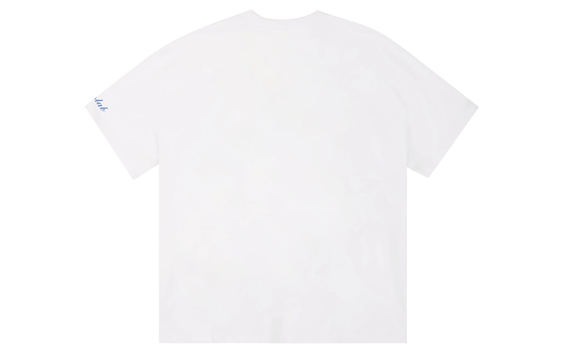 ICONS Lab ICS T