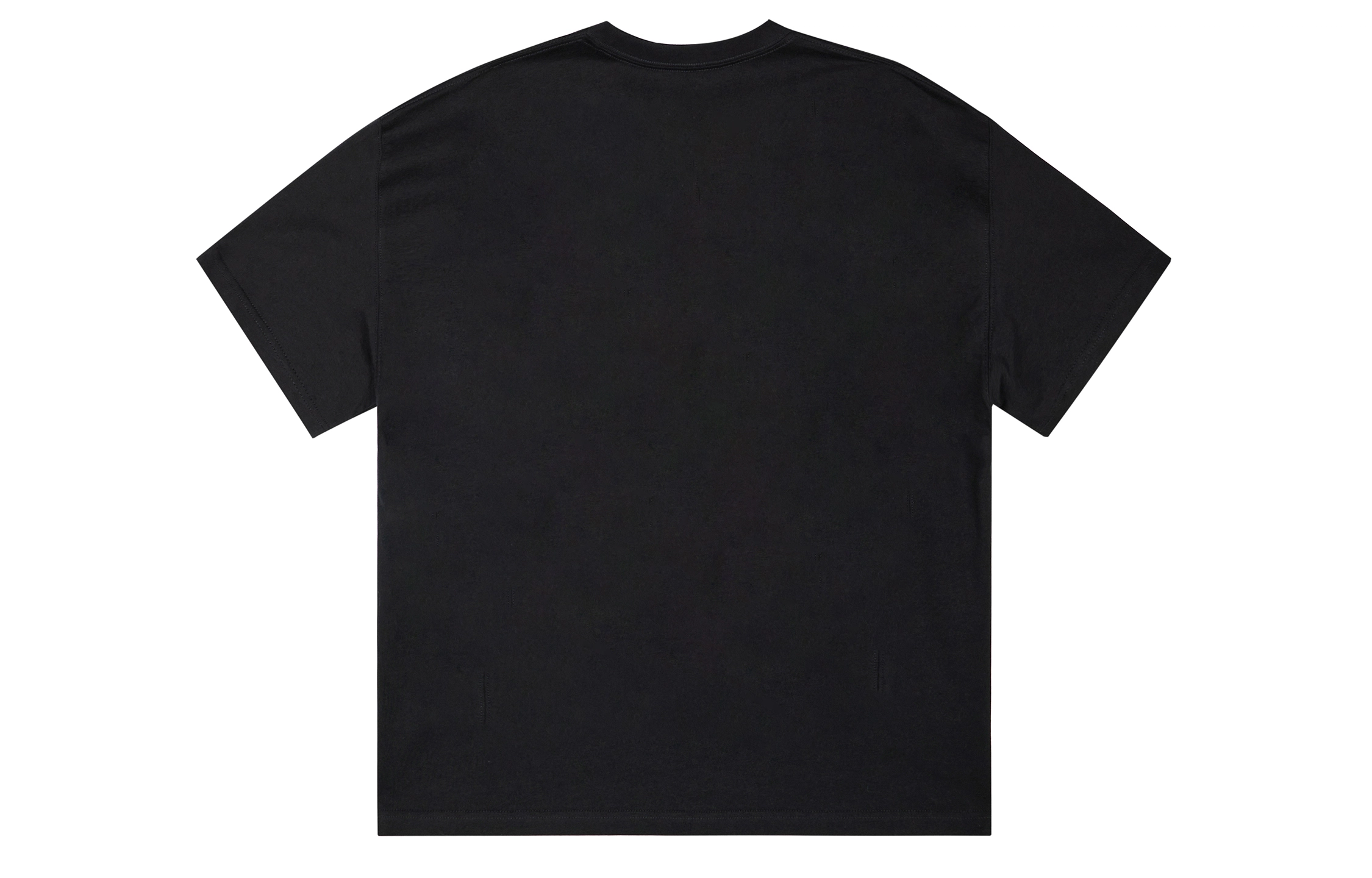 ICONS Lab T