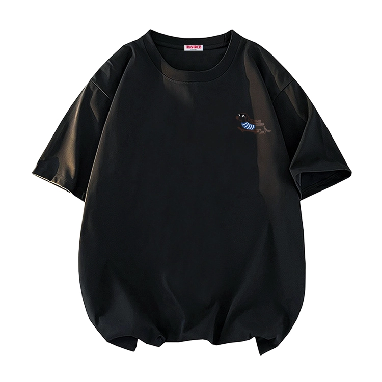 TRANSFORMERS T