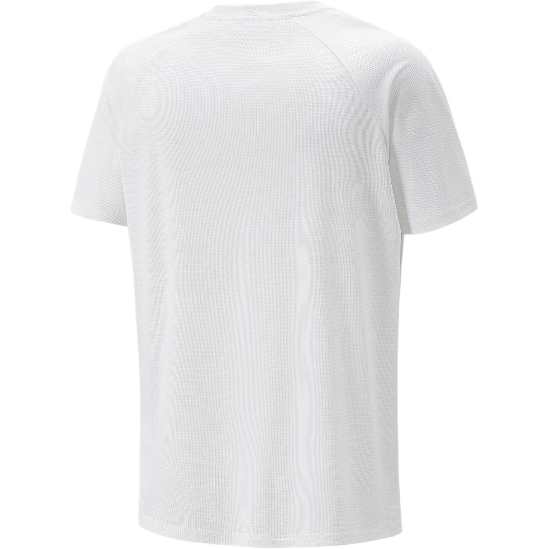 hummel T