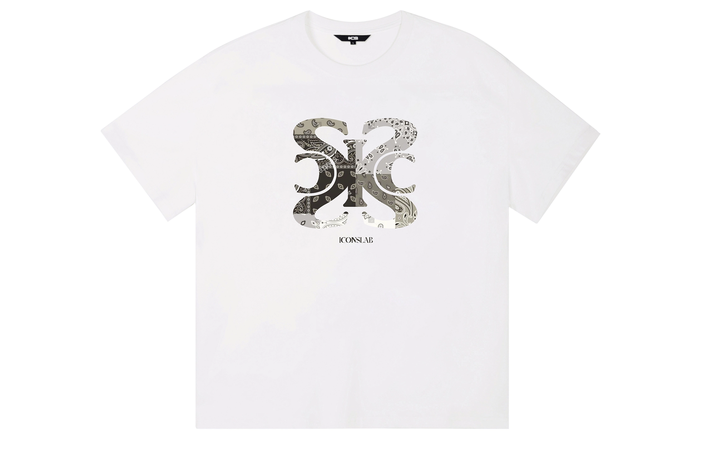 ICONS Lab T