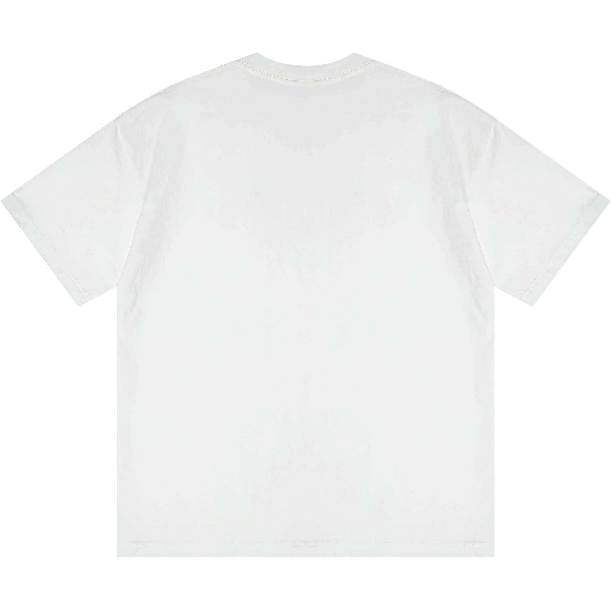 INS logo230teeT