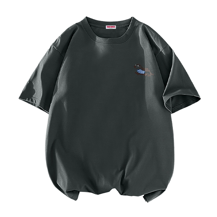 TRANSFORMERS T