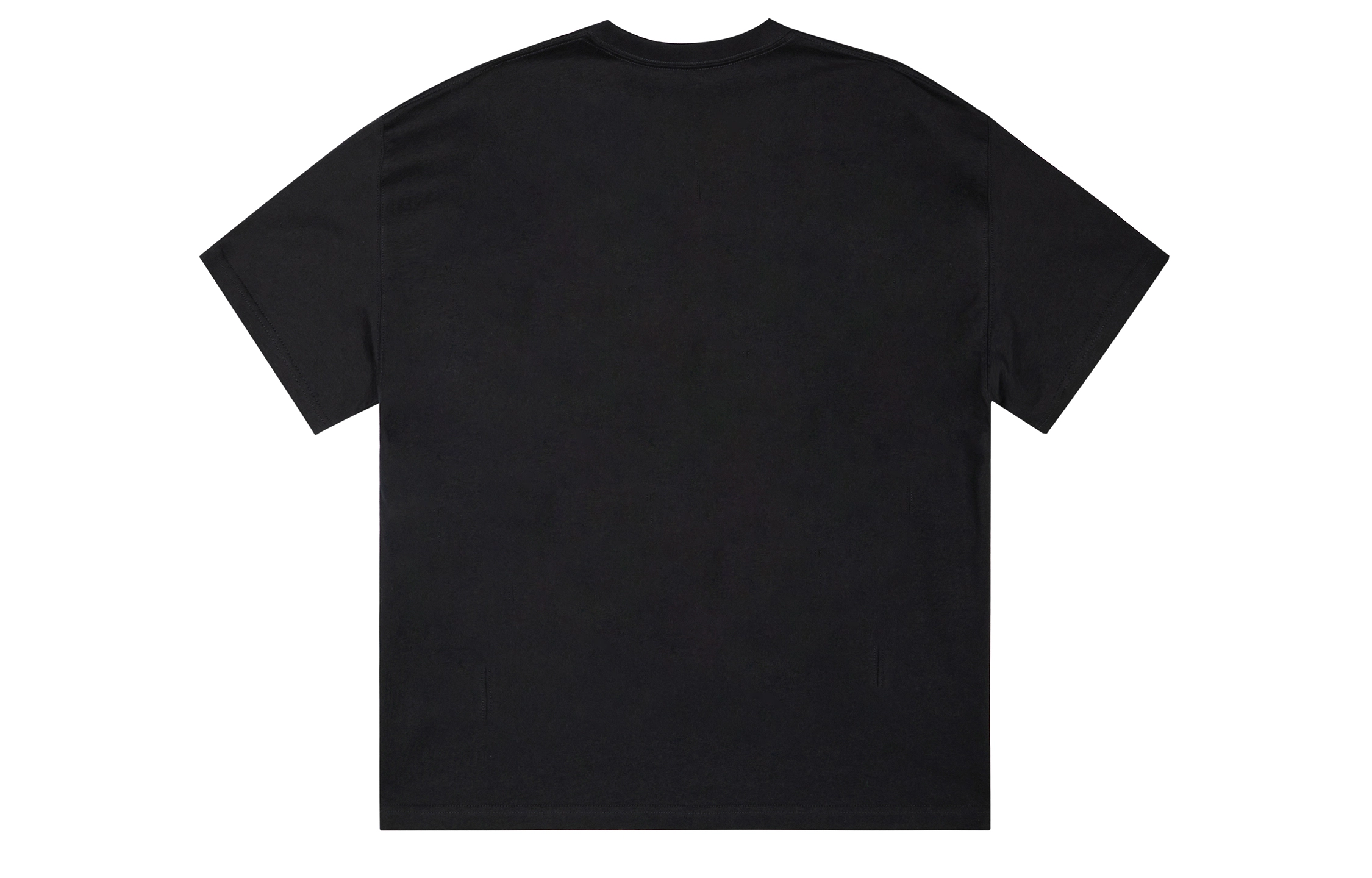 ICONS Lab T