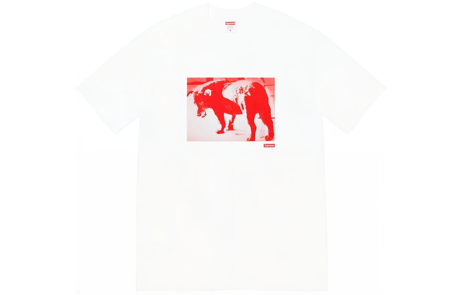 Supreme SS22 Week 19 Daid Moriyama Dog Tee T