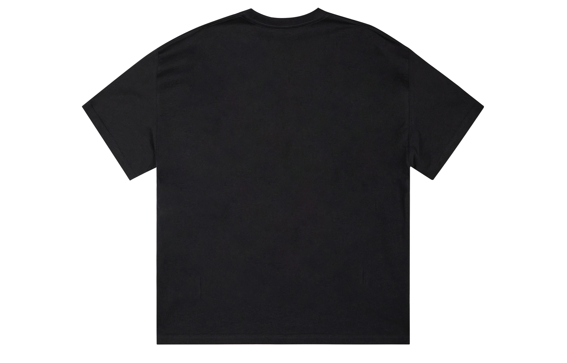 ICONS Lab T