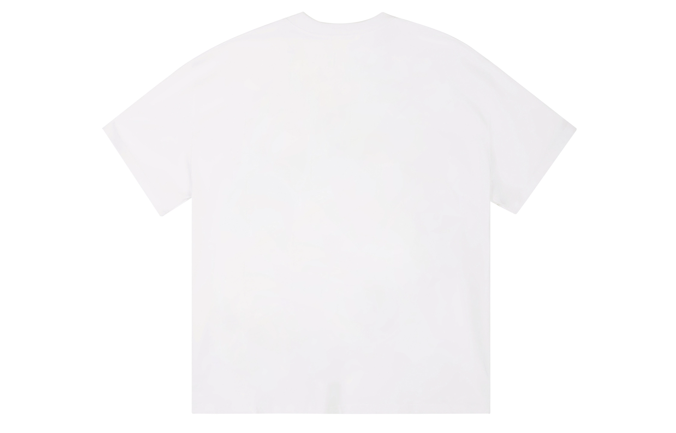 ICONS Lab ICS T