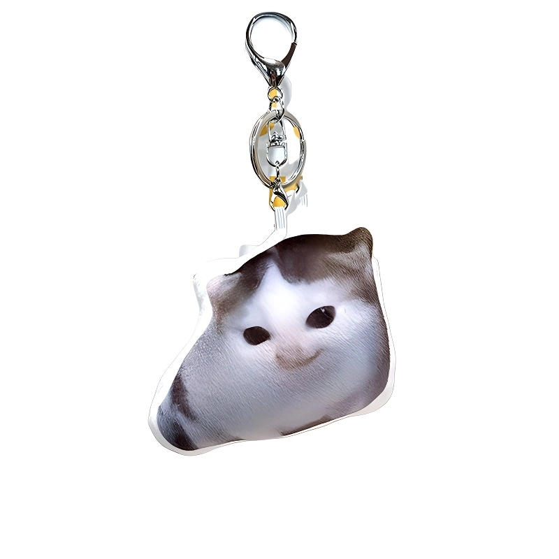 PP