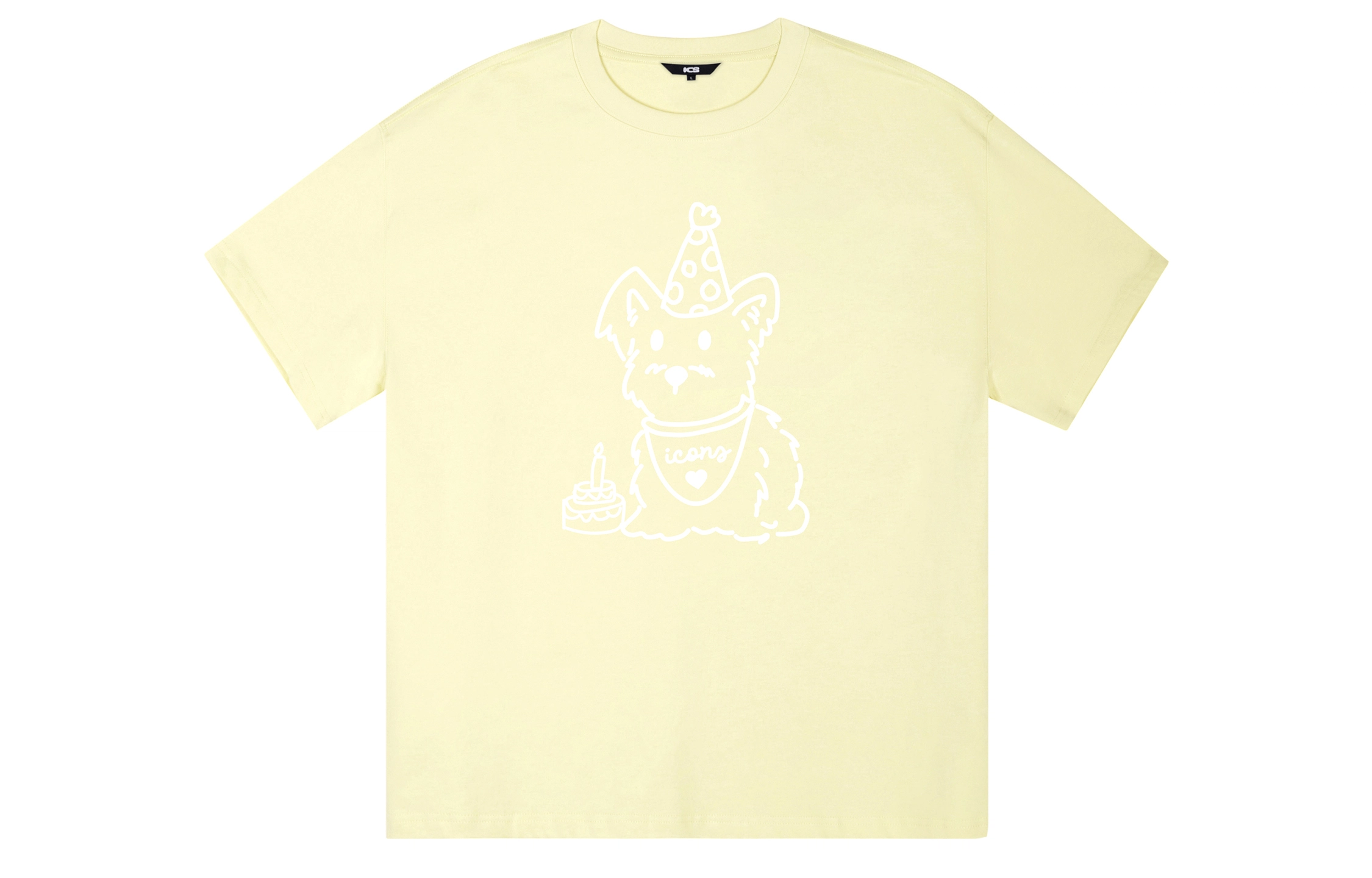 ICONS Lab T