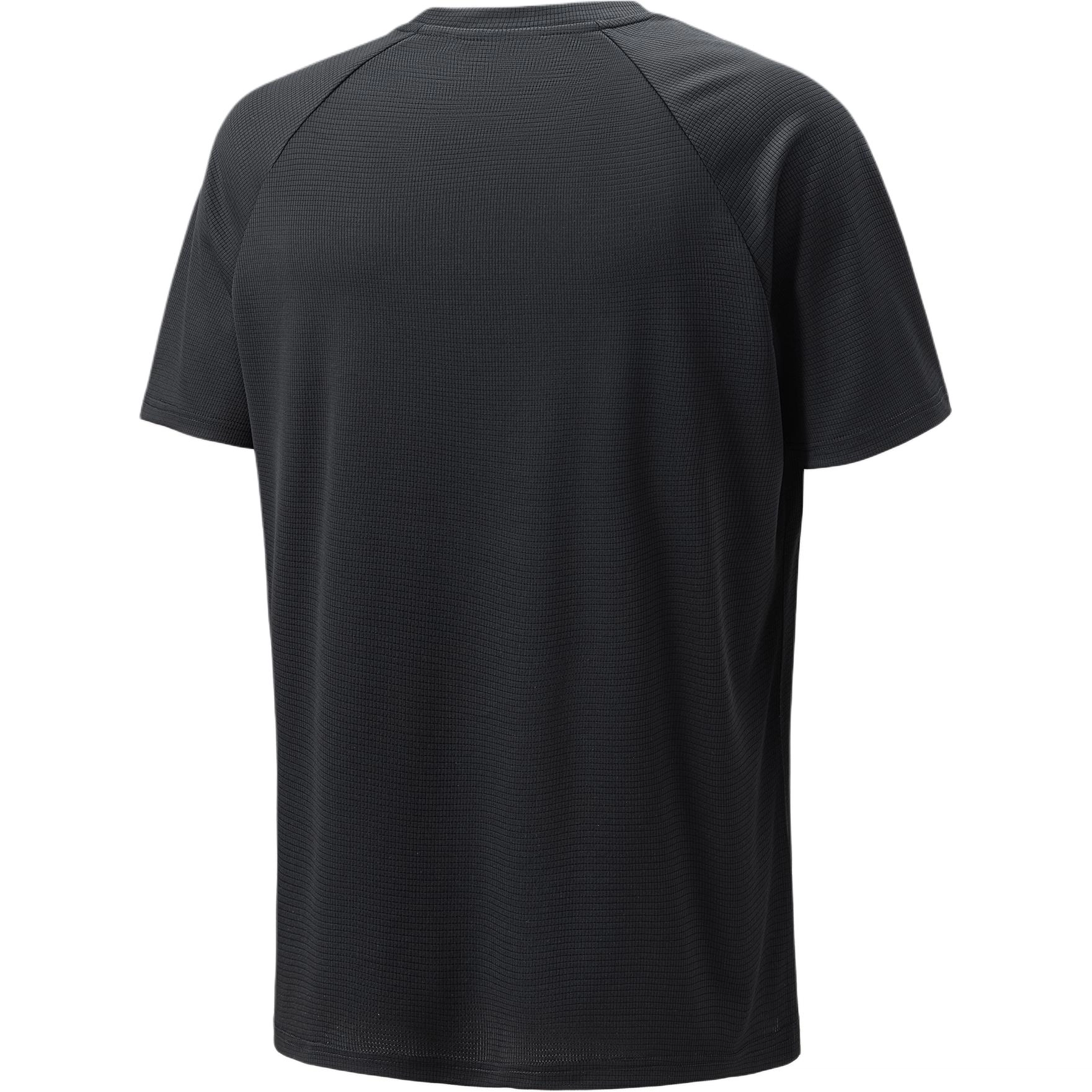 hummel T