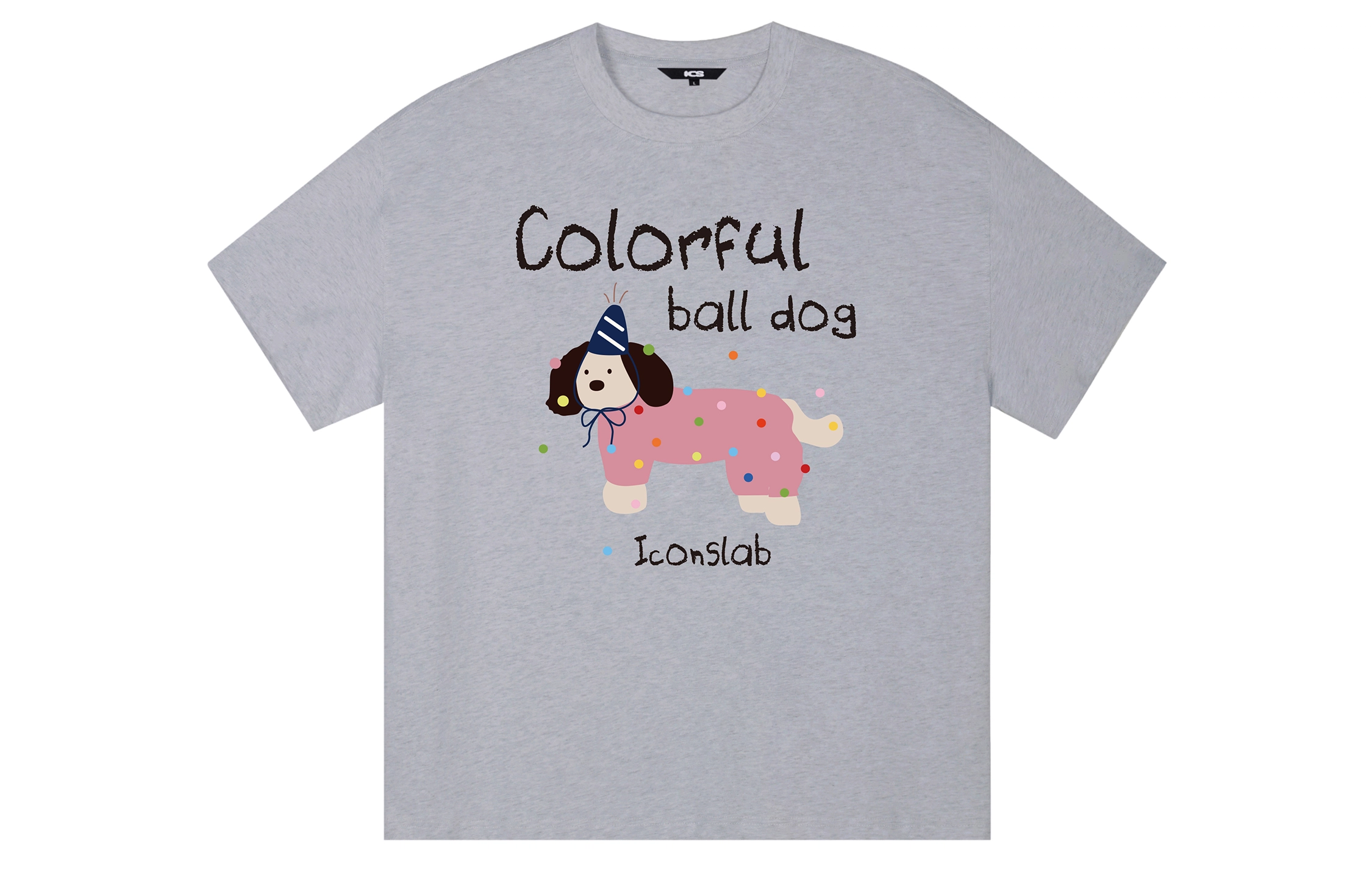 ICONS Lab T