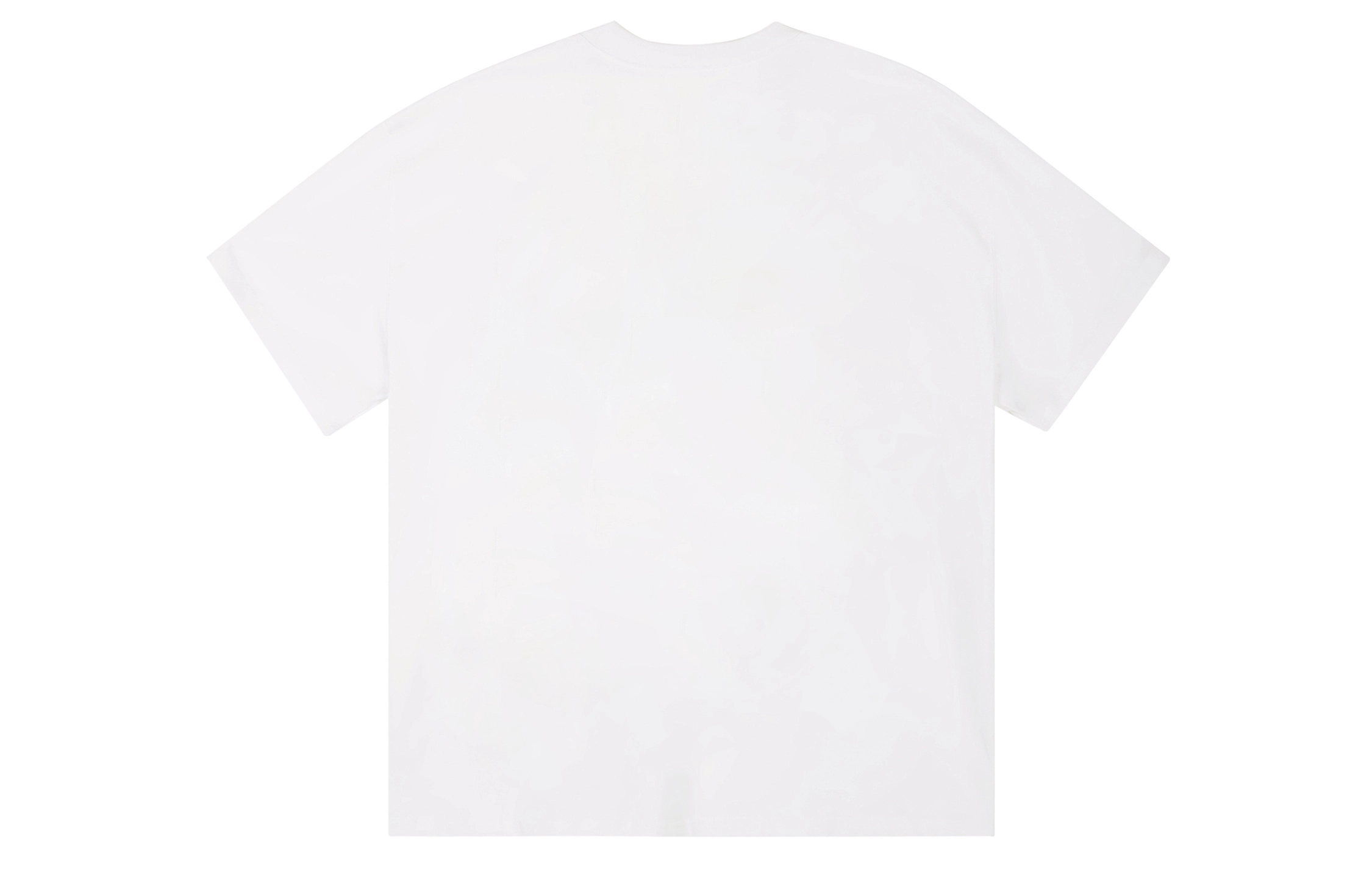 ICONS Lab T