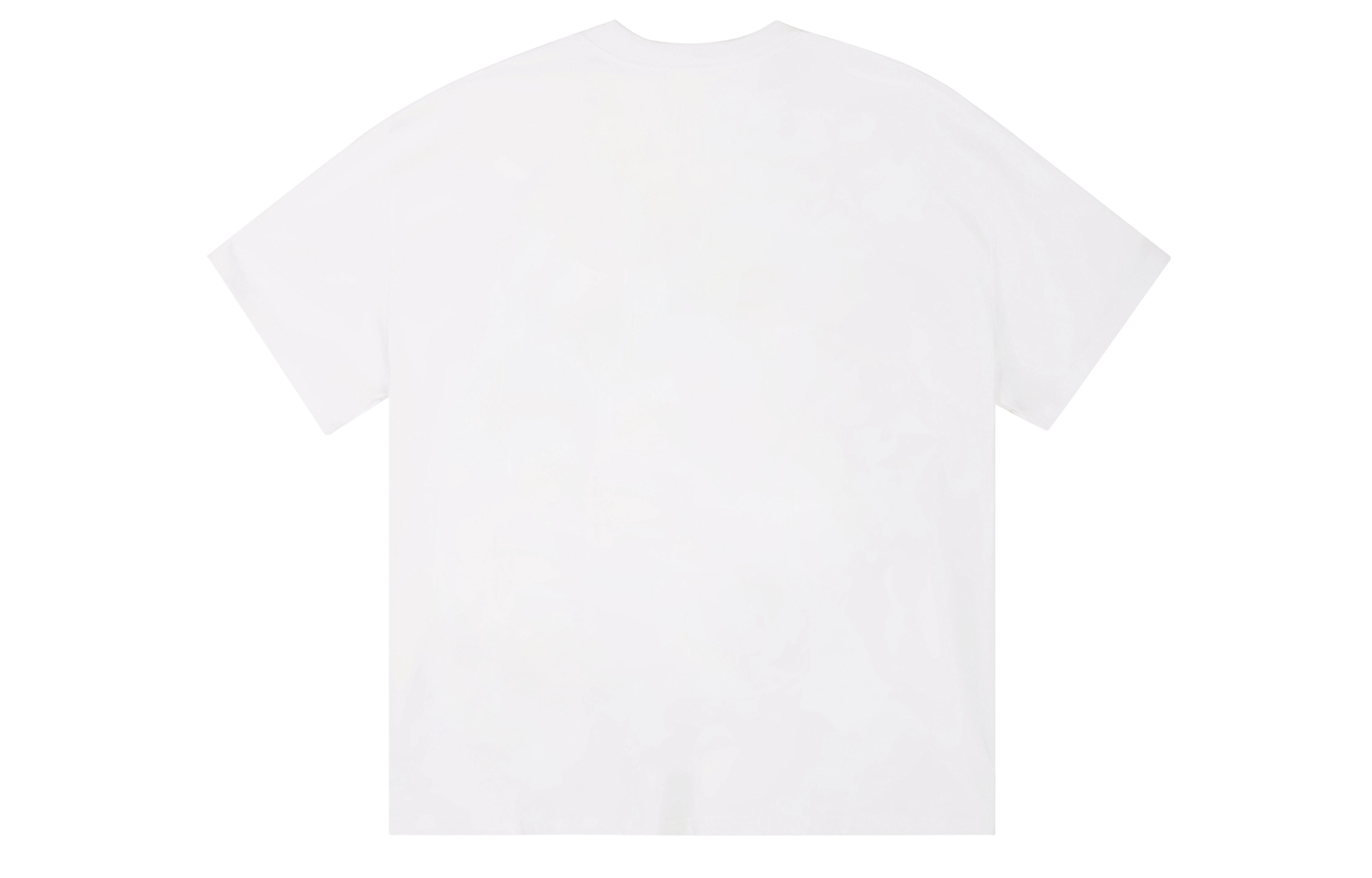 ICONS Lab T