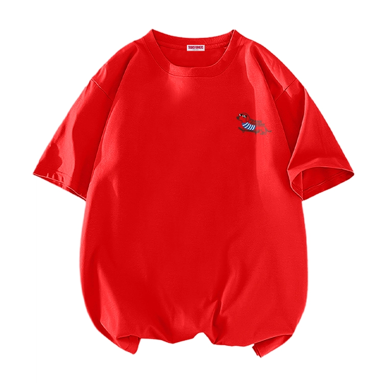 TRANSFORMERS T