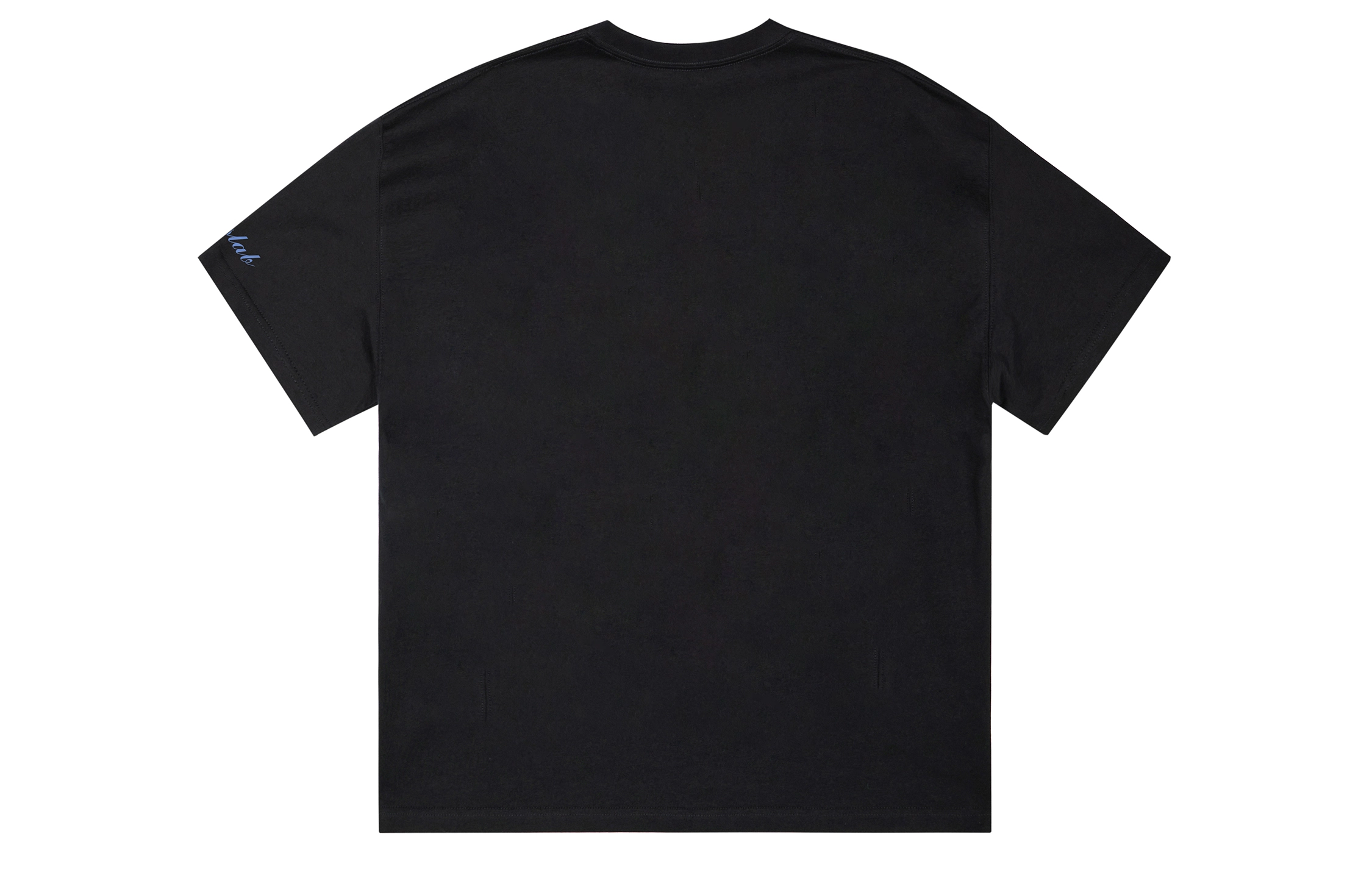 ICONS Lab ICS T