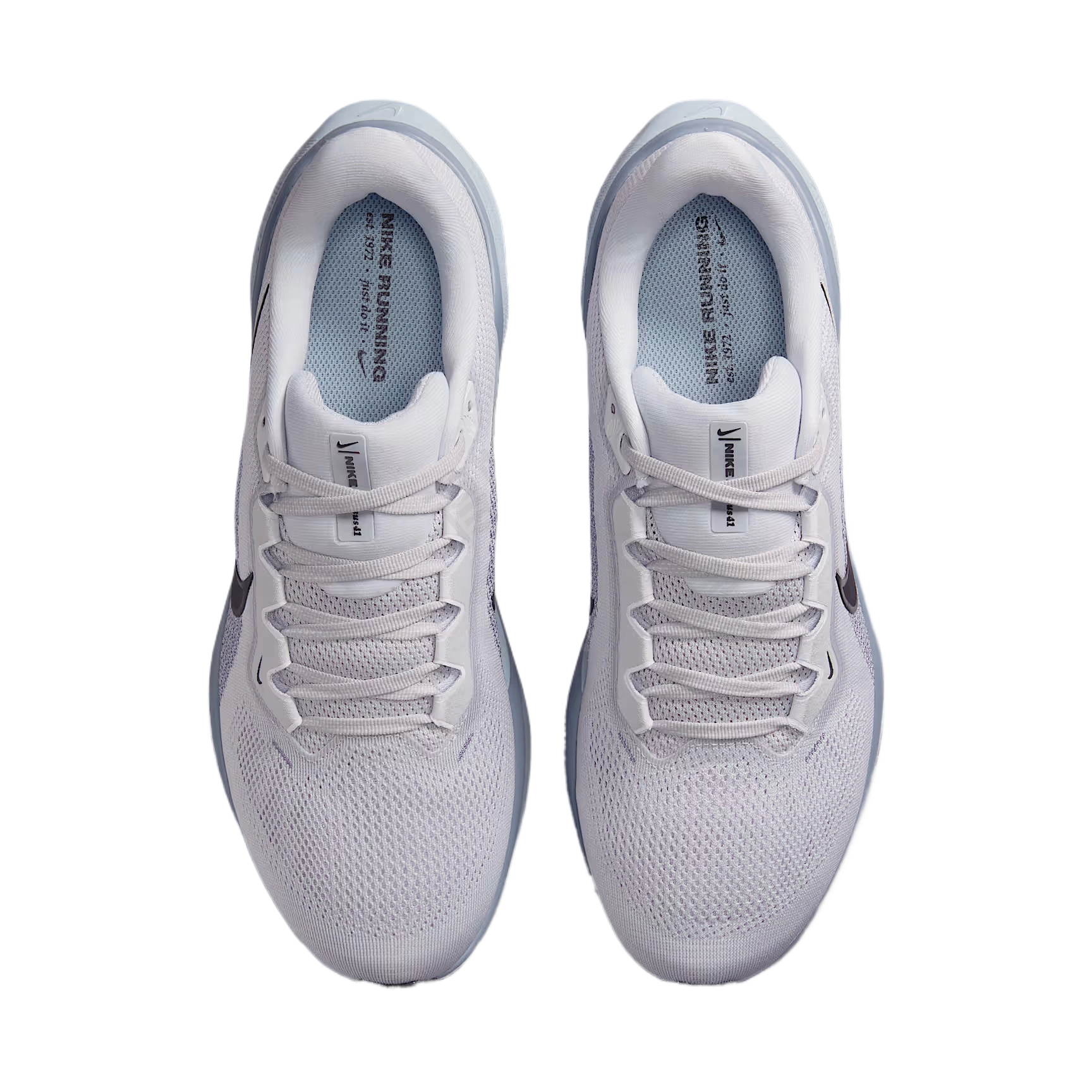Nike Pegasus 41